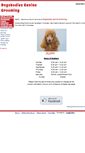 Mobile Screenshot of dogsbodiescaninegrooming.co.uk